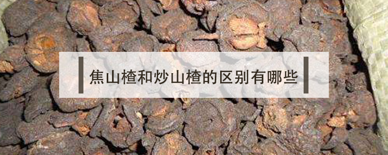 焦山楂和炒山楂的區(qū)別有哪些