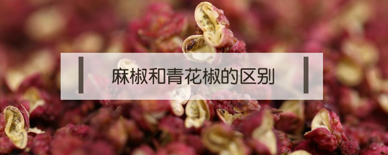 麻椒和青花椒的區(qū)別