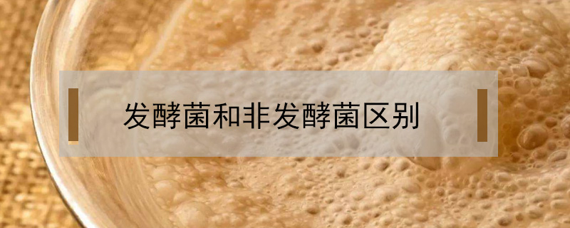 驢肉和牛肉的區(qū)別