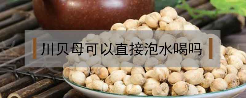 川貝母可以直接泡水喝嗎