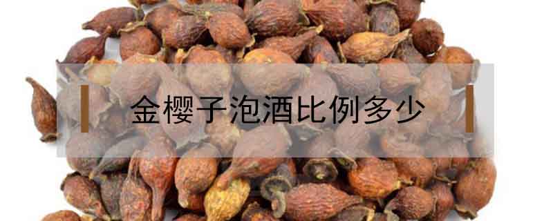 金櫻子泡酒比例多少