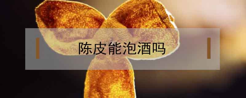 陳皮能泡酒嗎
