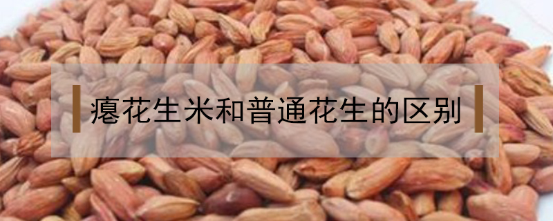 癟花生米和普通花生的區別