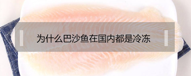 為什么巴沙魚(yú)在國(guó)內(nèi)都是冷凍
