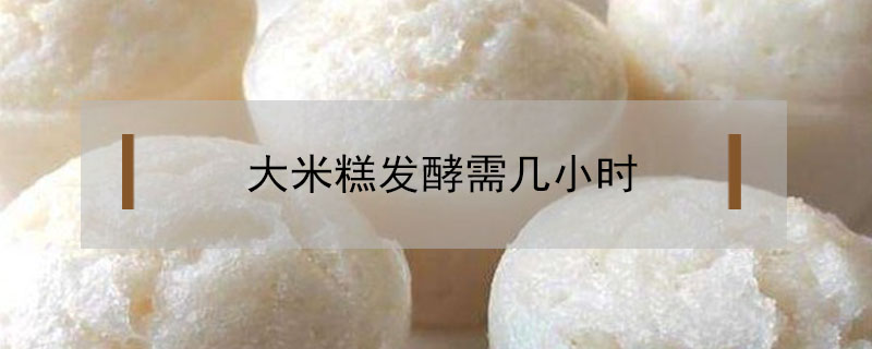 大米糕發(fā)酵需幾小時