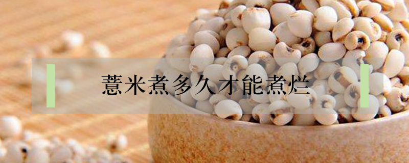 薏米煮多久才能煮爛