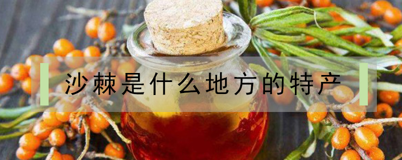沙棘是什么地方的特產(chǎn)