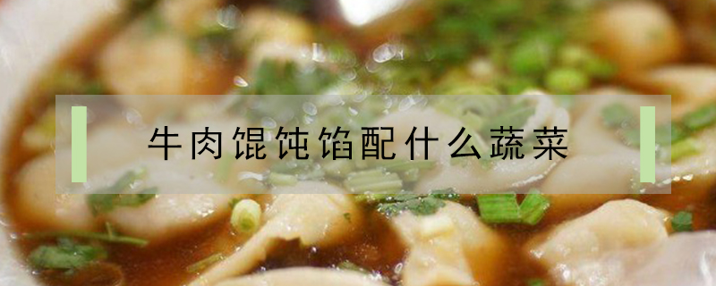 牛肉餛飩餡配什么蔬菜