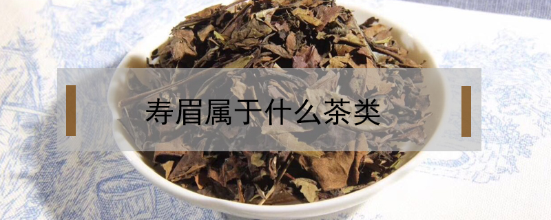 壽眉屬于什么茶類