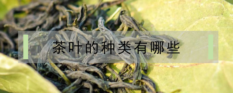 茶葉的種類有哪些