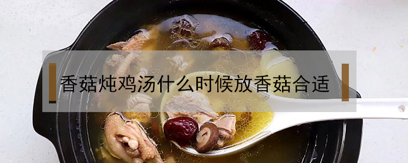 香菇燉雞湯什么時(shí)候放香菇合適