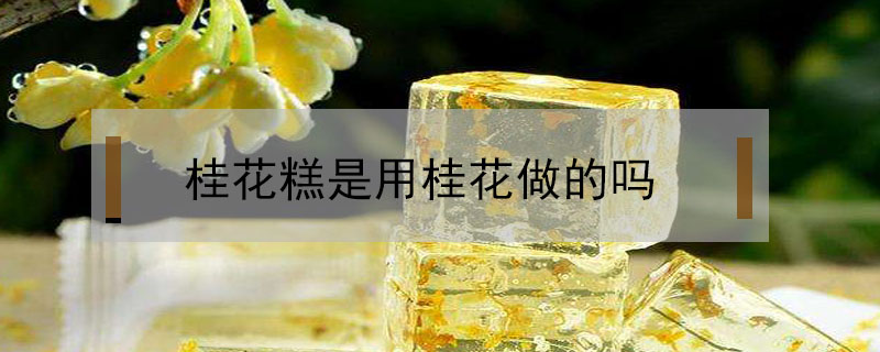 桂花糕是用桂花做的嗎