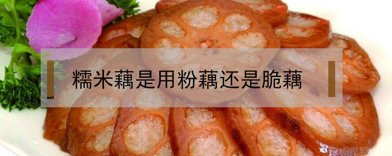 糯米藕是用粉藕還是脆藕