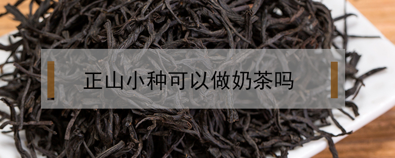 正山小種可以做奶茶嗎