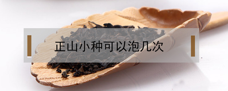 正山小種可以泡幾次