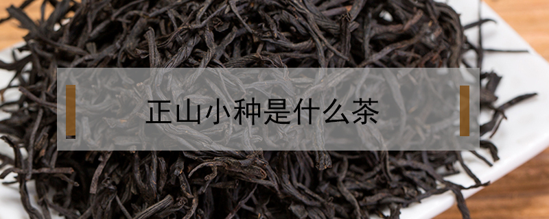 正山小種是什么茶