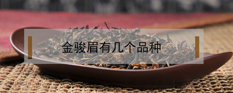金駿眉有幾個(gè)品種