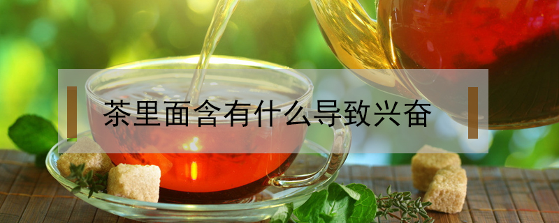 茶里面含有什么導(dǎo)致興奮