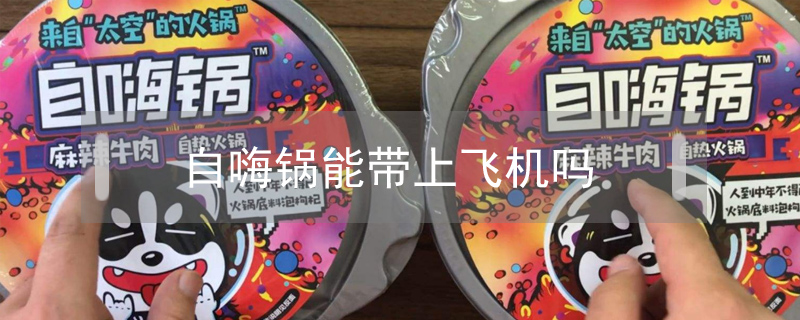 自嗨鍋能帶上飛機嗎