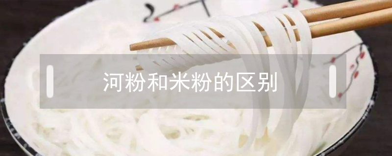 河粉和米粉的區別
