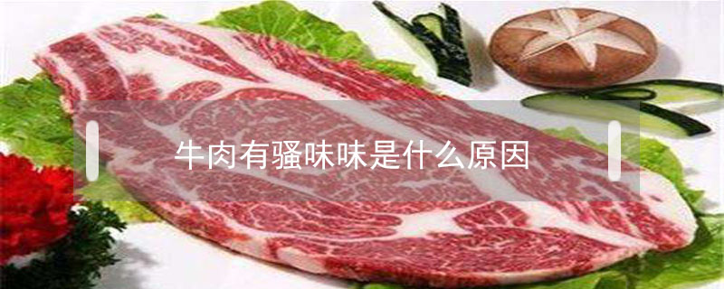 牛肉有騷味味是什么原因