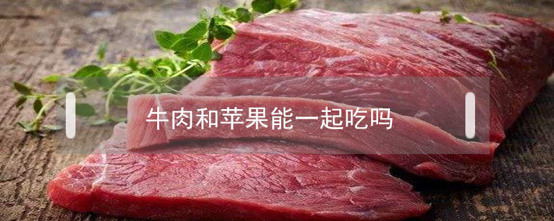 牛肉和蘋果能一起吃嗎