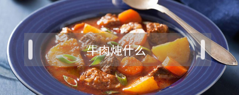 牛肉燉什么