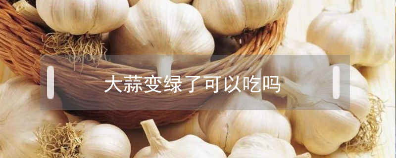 大蒜變綠了可以吃嗎