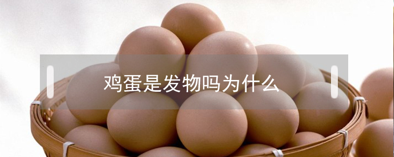 雞蛋是發物嗎為什么