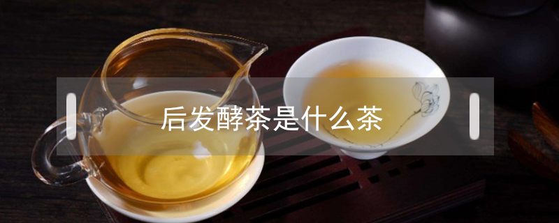 后發酵茶是什么茶