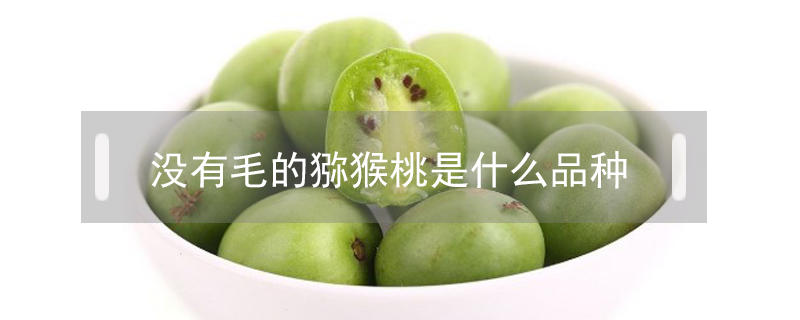 沒(méi)有毛的獼猴桃是什么品種