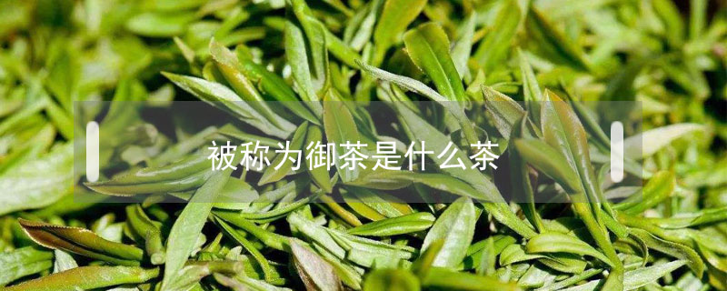 被稱為御茶是什么茶