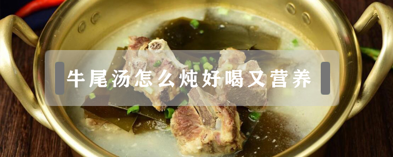 牛尾湯怎么燉好喝又營養