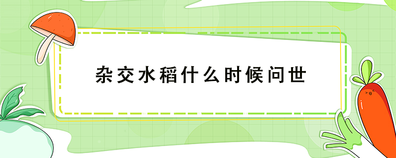 雜交水稻什么時(shí)候問世