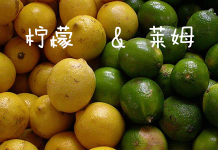 萊姆圖片，萊姆的功效與作用，萊姆營(yíng)養(yǎng)價(jià)值