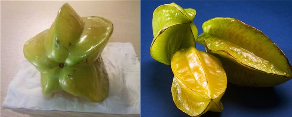 楊桃什么季節成熟 楊桃開花到成熟多久