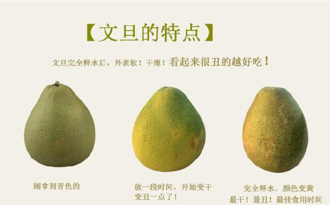 文旦和柚子的區別 文旦怎么挑選(圖片)