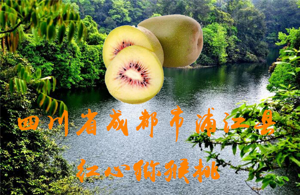 紅心獼猴桃哪里最正宗 紅心獼猴桃的原產(chǎn)地在哪