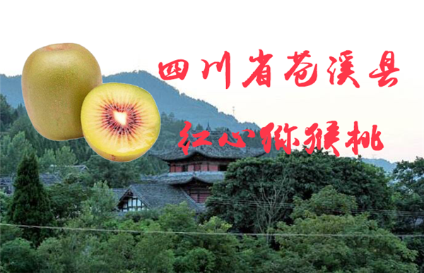 紅心獼猴桃哪里最正宗 紅心獼猴桃的原產(chǎn)地在哪