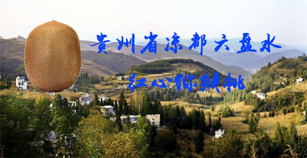 紅心獼猴桃哪里最正宗 紅心獼猴桃的原產(chǎn)地在哪