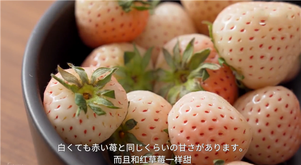 菠蘿莓好吃嗎 菠蘿莓又香又甜還有柑橘清香