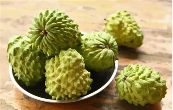 釋迦果哪里產的好吃，釋迦果的產地在哪
