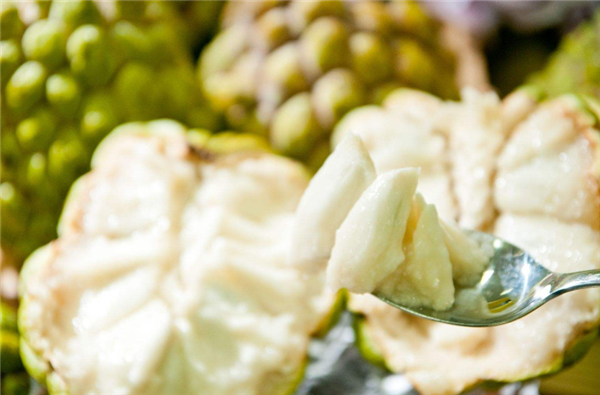 釋迦果的功效與作用 釋迦果的營養(yǎng)價(jià)值很高