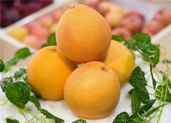南非西柚上市時間 南非西柚成熟季節在夏季(7-9月)