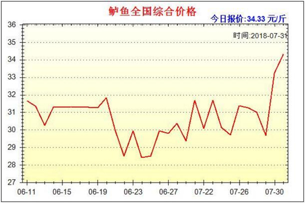 鱸魚多少錢一斤，2019年鱸魚價格預估