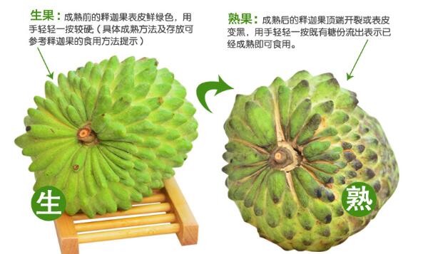 釋迦果的籽有毒嗎，釋迦果的籽有什么用