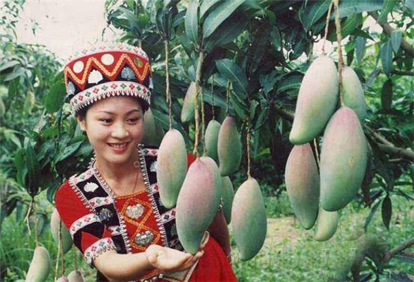廣西特產(chǎn)水果都有哪些，廣西特產(chǎn)水果圖片大全