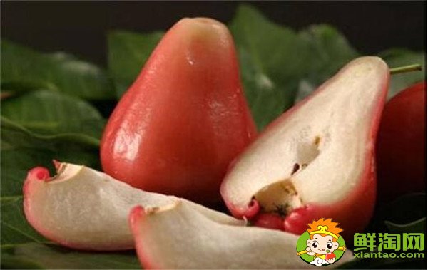 蓮霧好吃嗎(蓮霧什么味道)，蓮霧怎么吃圖解法