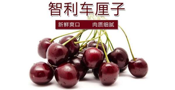 進口櫻桃品種排名，櫻桃品種介紹及排名