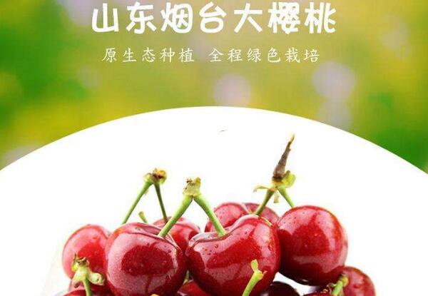 雞心櫻桃是什么品種，雞心櫻桃山東煙臺地區(qū)位列第三位